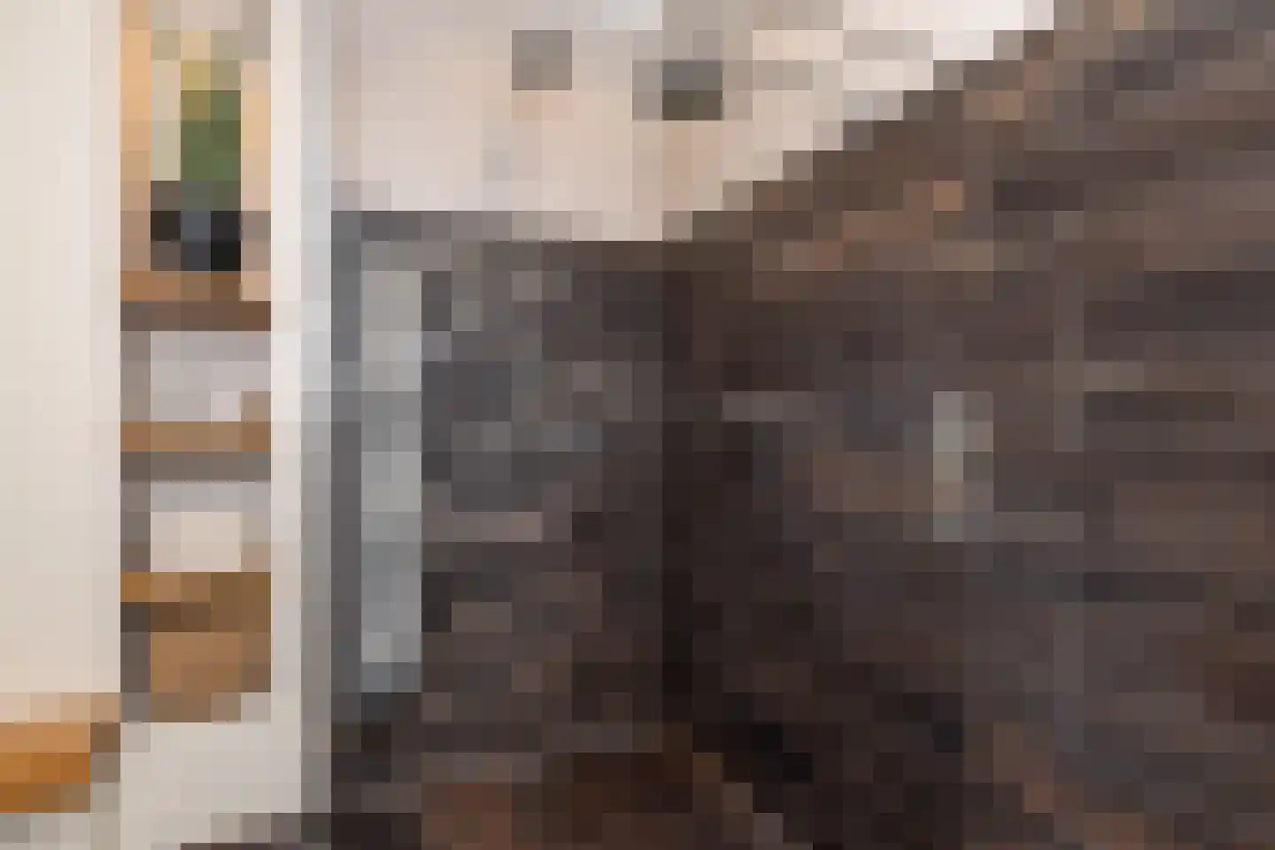 Ten Arlo 3 Zuidwolde thumbnail 39