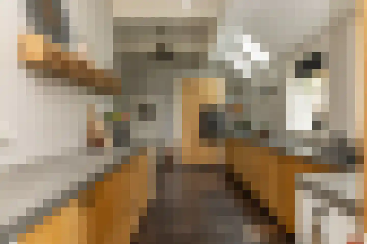 Ten Arlo 3 Zuidwolde thumbnail 4