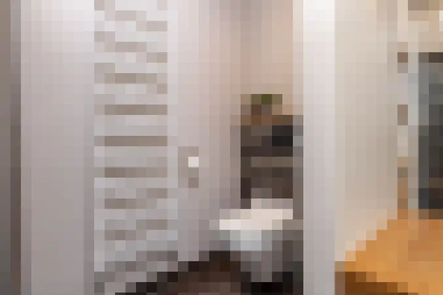 Ten Arlo 3 Zuidwolde thumbnail 40