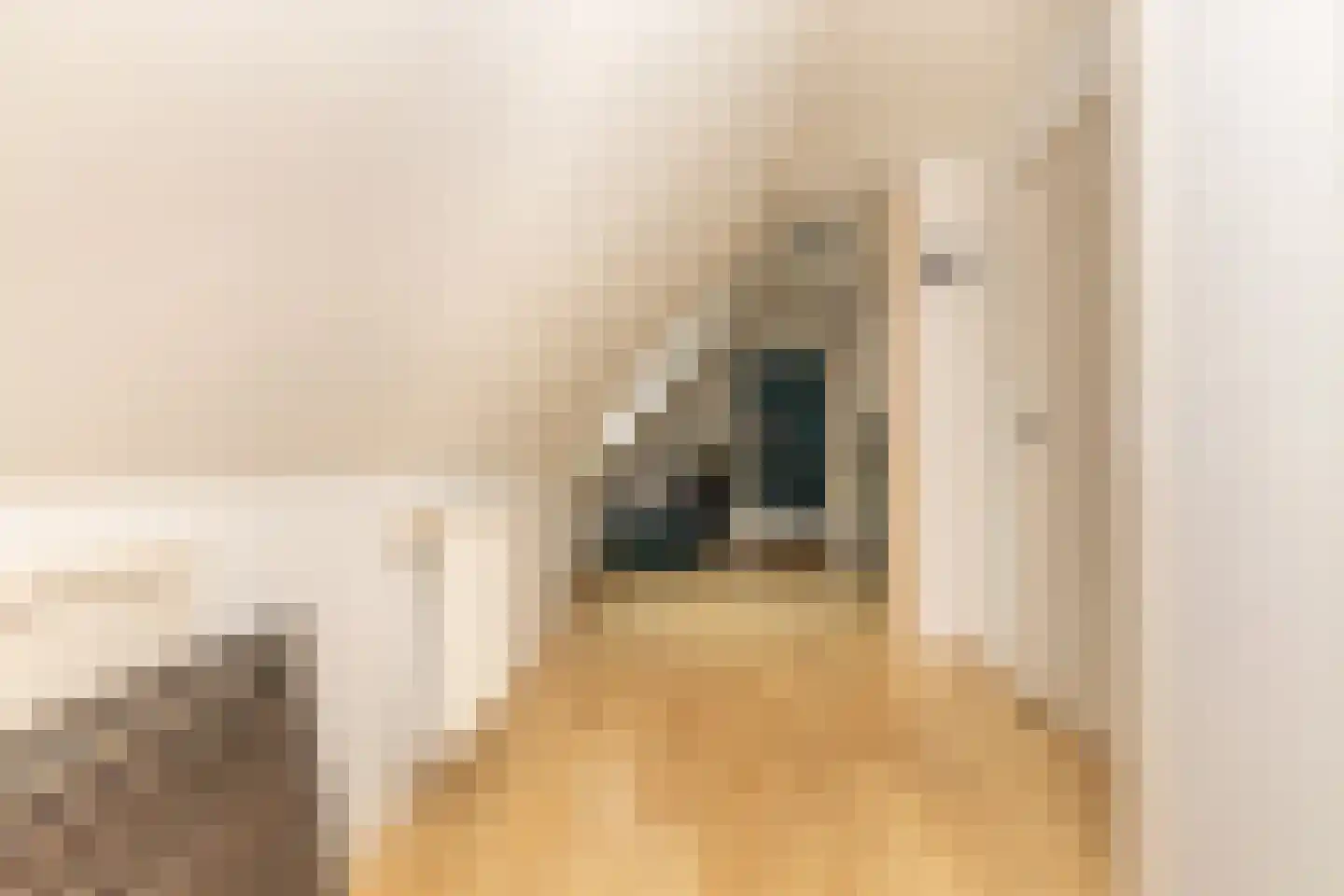 Ten Arlo 3 Zuidwolde thumbnail 41