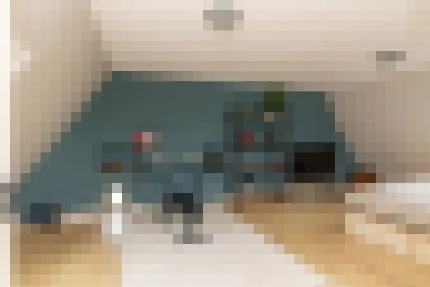 Ten Arlo 3 Zuidwolde thumbnail 43