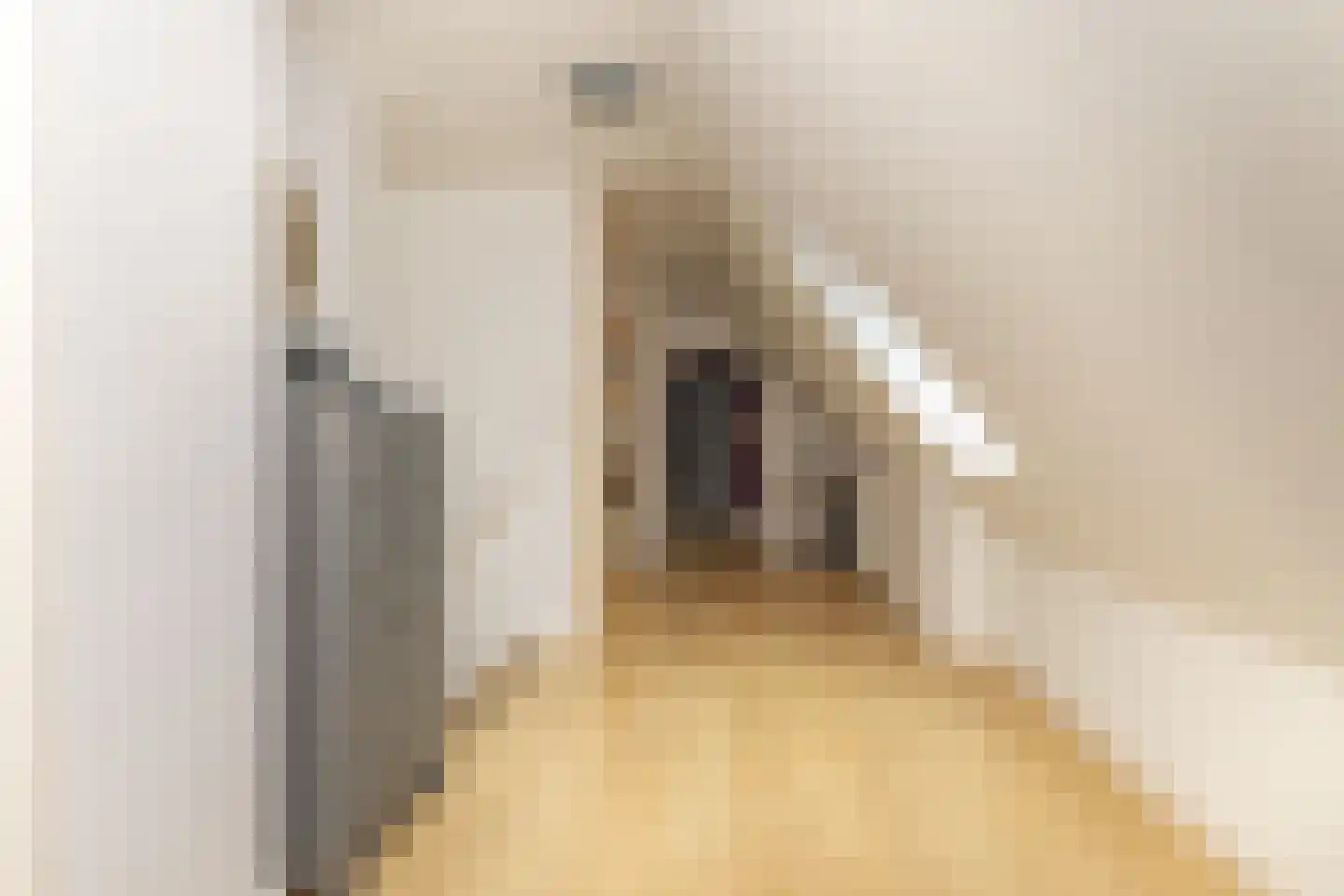 Ten Arlo 3 Zuidwolde thumbnail 46