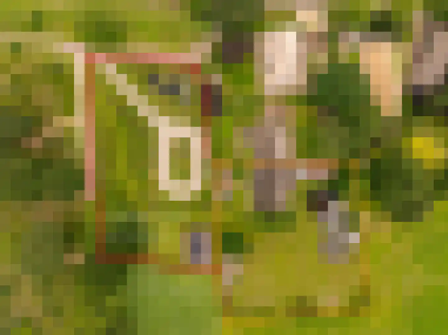 Ten Arlo 3 Zuidwolde thumbnail 5