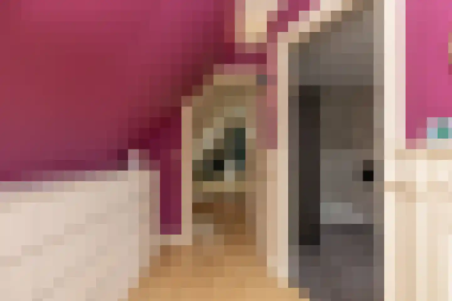 Ten Arlo 3 Zuidwolde thumbnail 51
