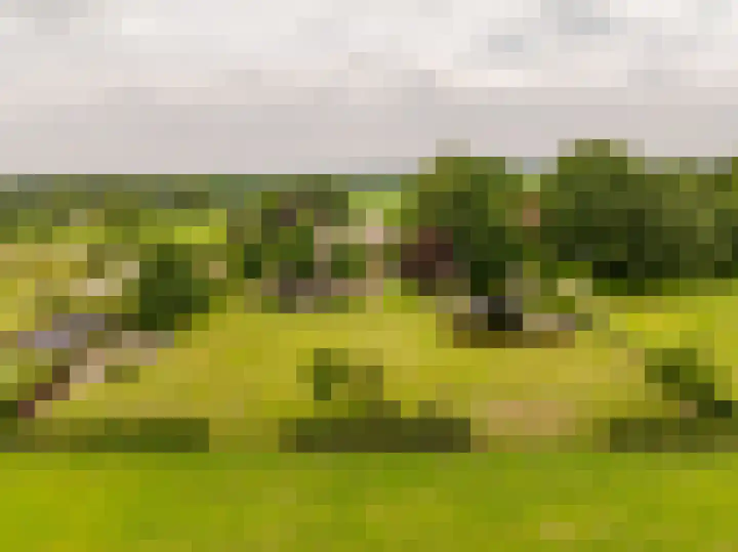 Ten Arlo 3 Zuidwolde thumbnail 55