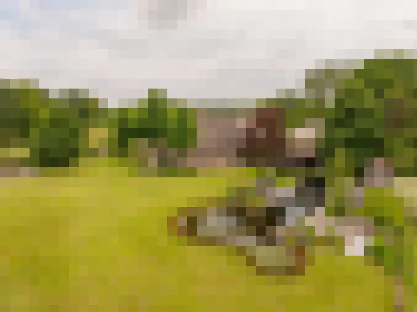 Ten Arlo 3 Zuidwolde thumbnail 57