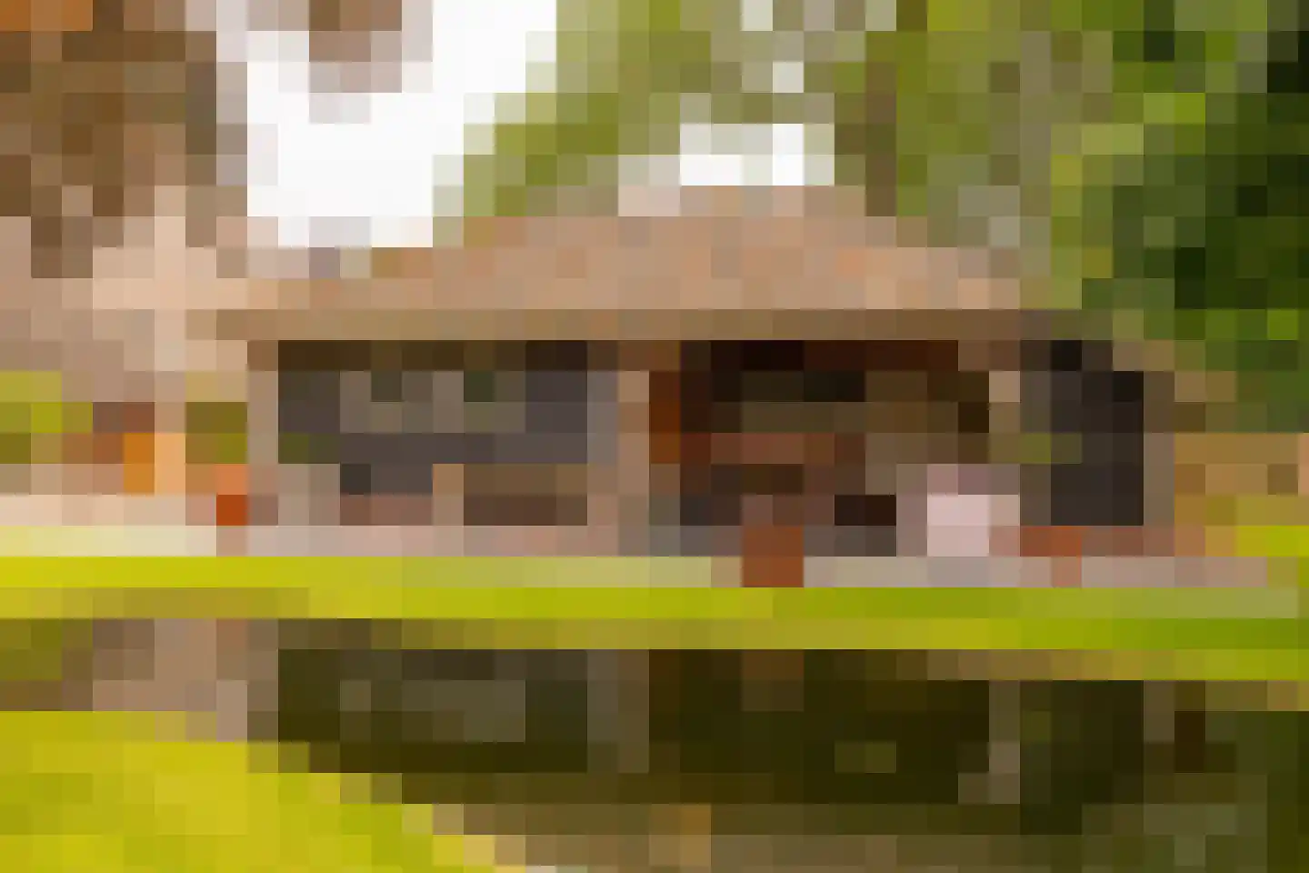 Ten Arlo 3 Zuidwolde thumbnail 58