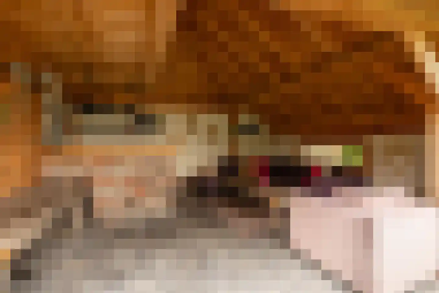 Ten Arlo 3 Zuidwolde thumbnail 59