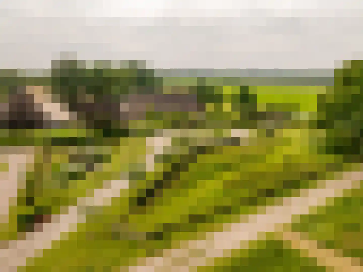 Ten Arlo 3 Zuidwolde thumbnail 6