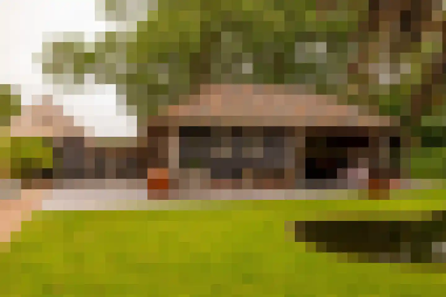 Ten Arlo 3 Zuidwolde thumbnail 60