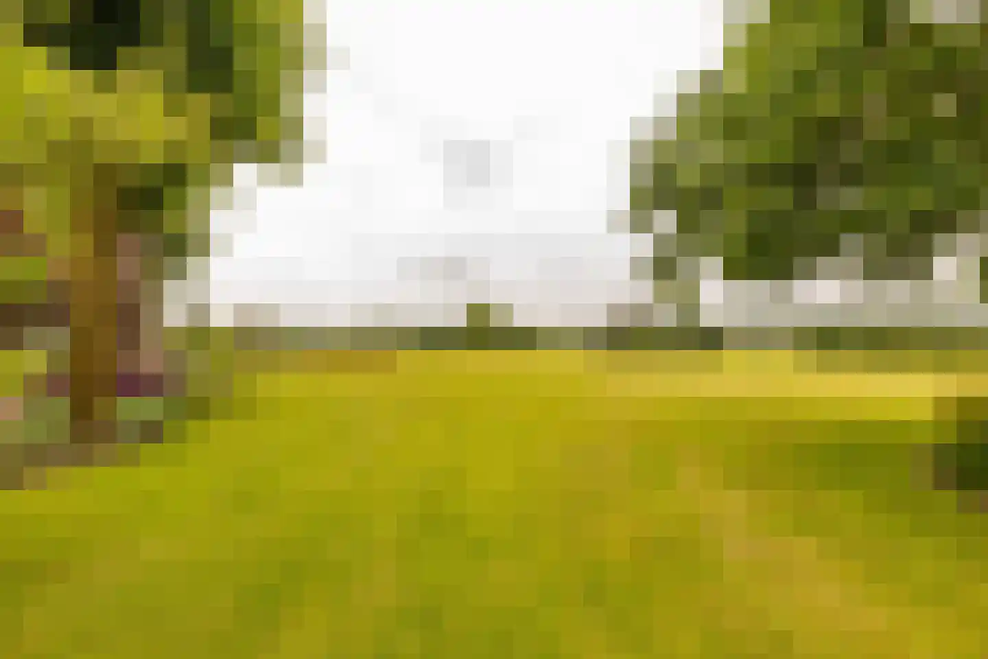 Ten Arlo 3 Zuidwolde thumbnail 61