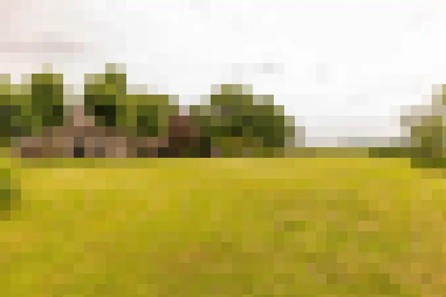 Ten Arlo 3 Zuidwolde thumbnail 62