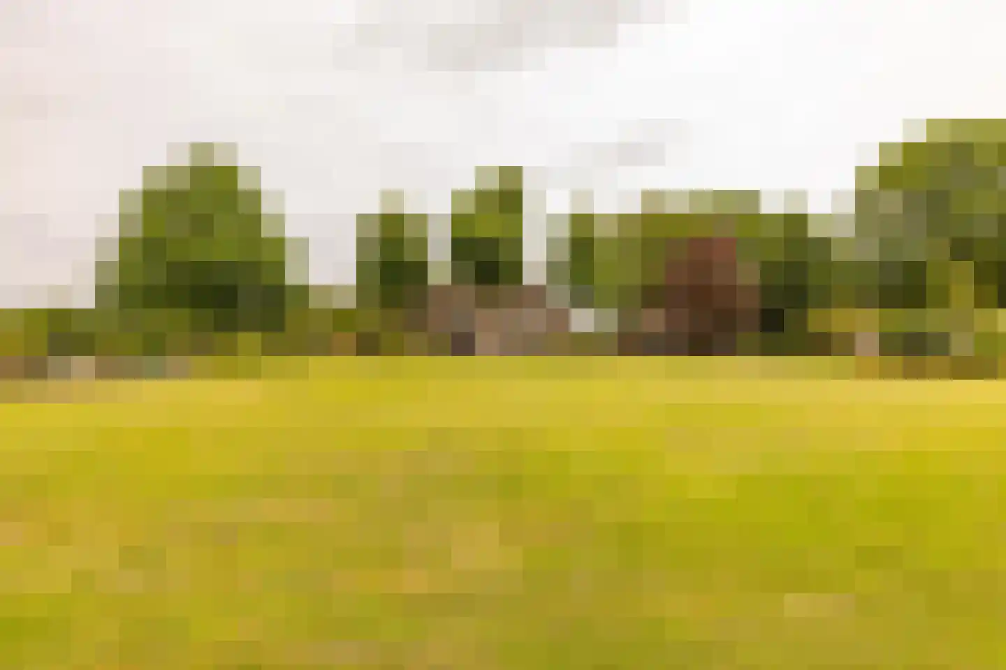 Ten Arlo 3 Zuidwolde thumbnail 63