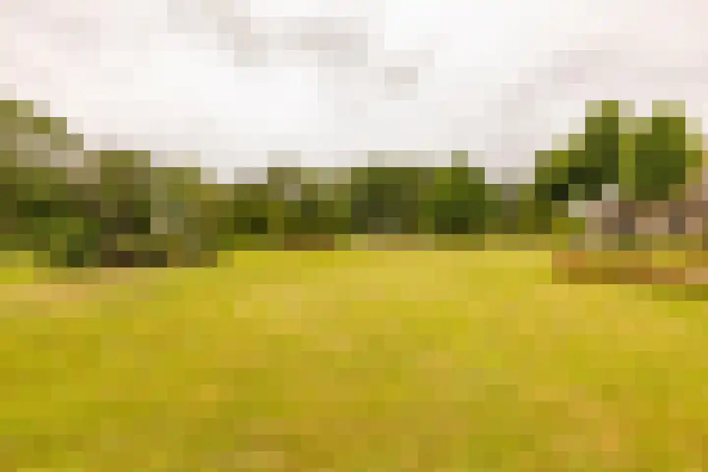 Ten Arlo 3 Zuidwolde thumbnail 64