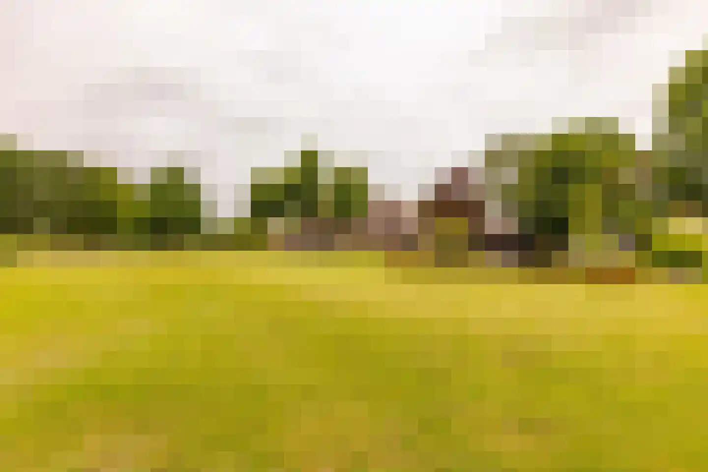 Ten Arlo 3 Zuidwolde thumbnail 65