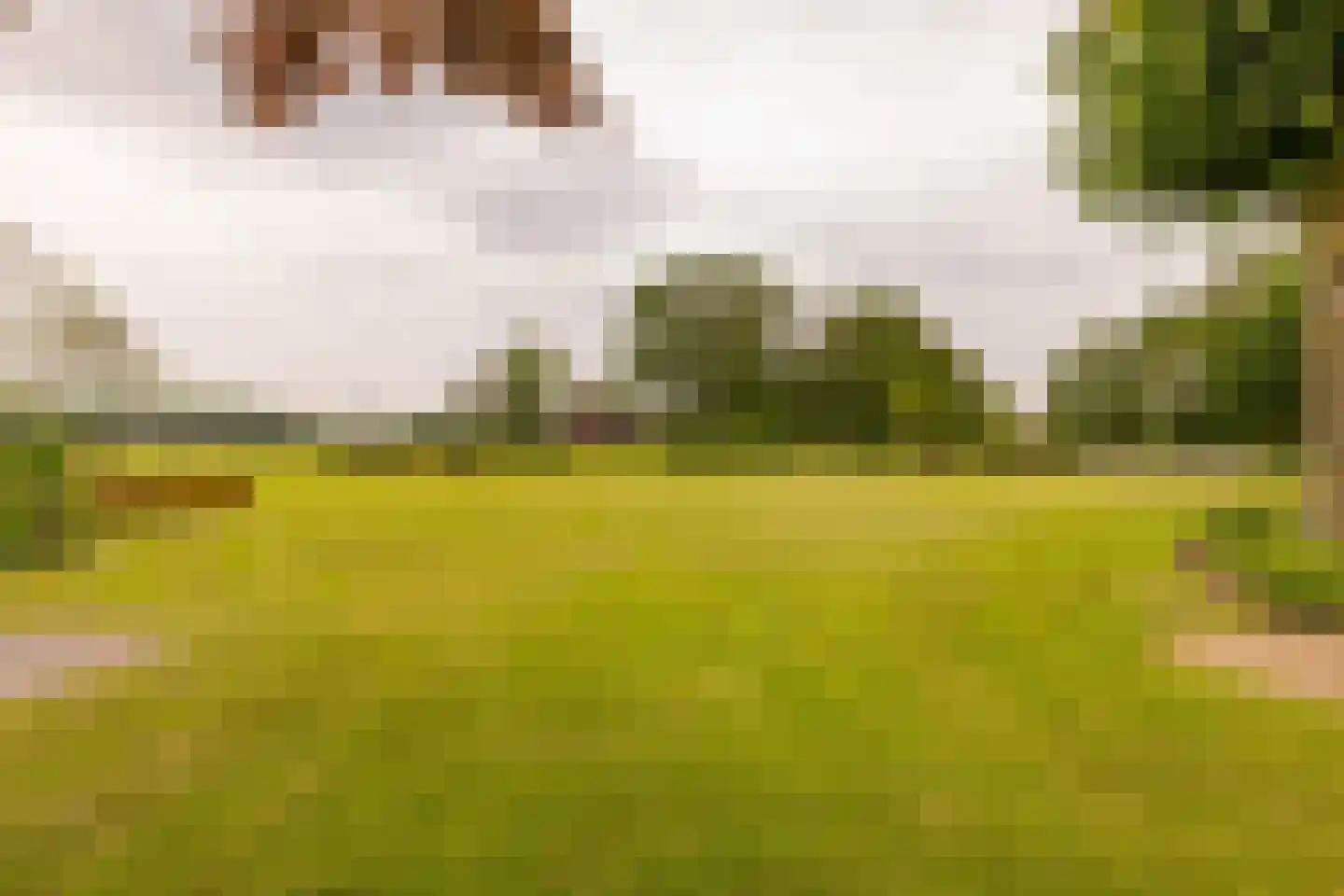 Ten Arlo 3 Zuidwolde thumbnail 66