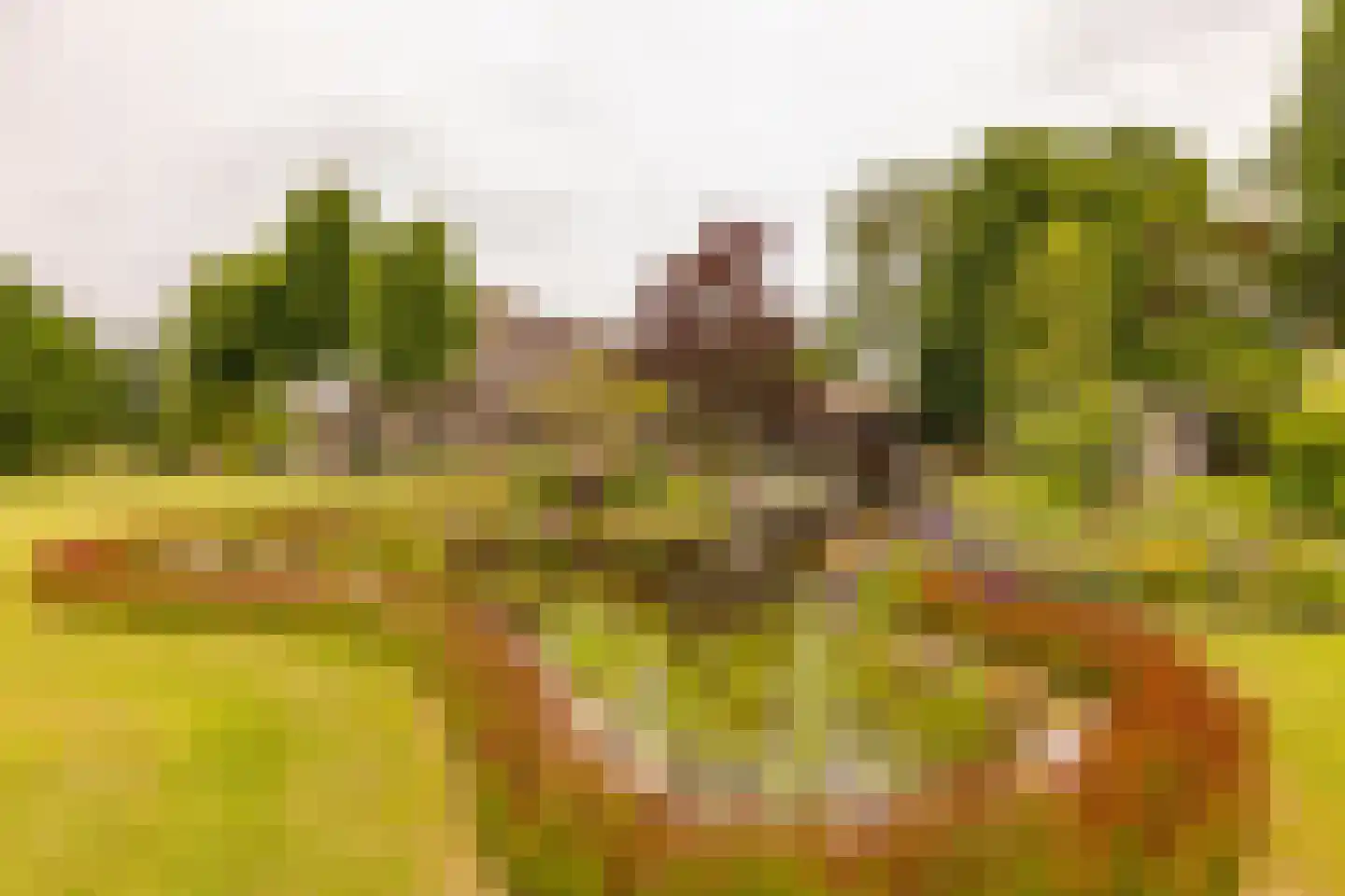 Ten Arlo 3 Zuidwolde thumbnail 67