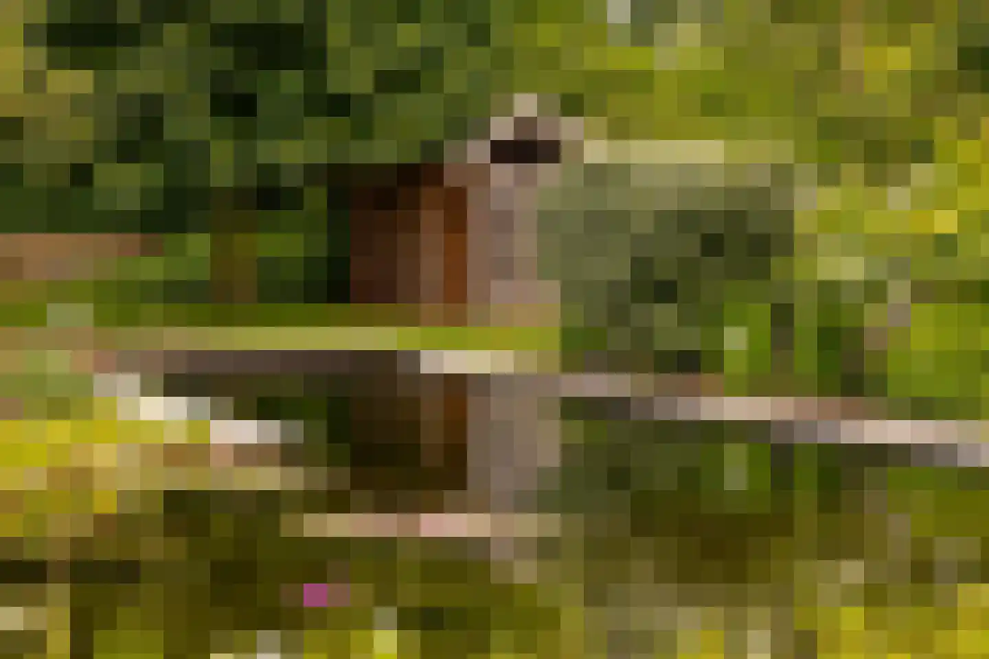 Ten Arlo 3 Zuidwolde thumbnail 68