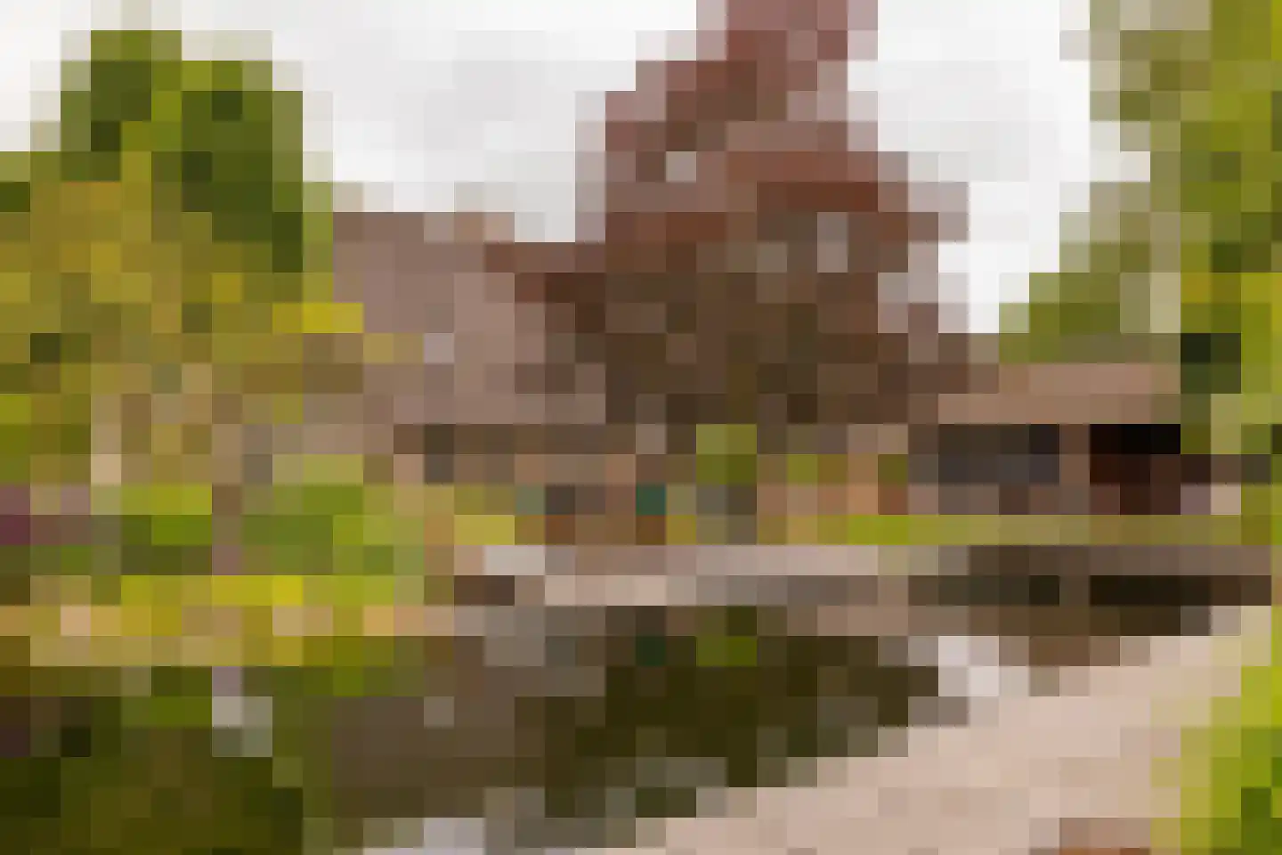 Ten Arlo 3 Zuidwolde thumbnail 69