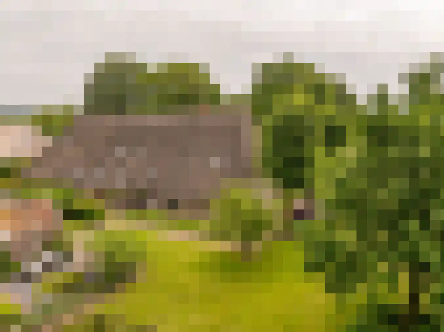 Ten Arlo 3 Zuidwolde thumbnail 7