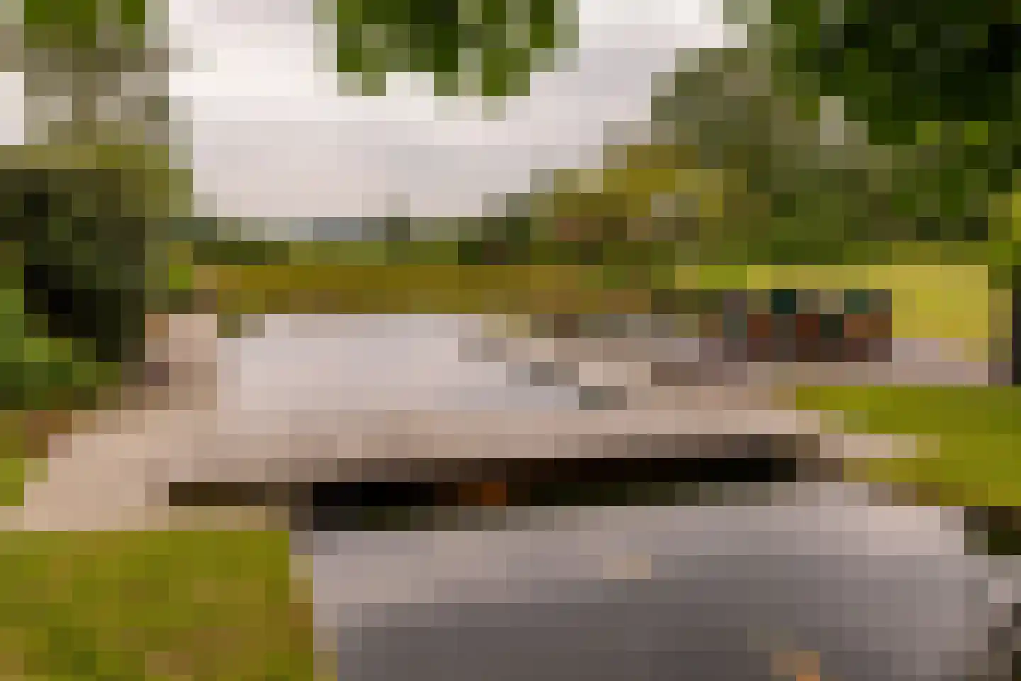 Ten Arlo 3 Zuidwolde thumbnail 70