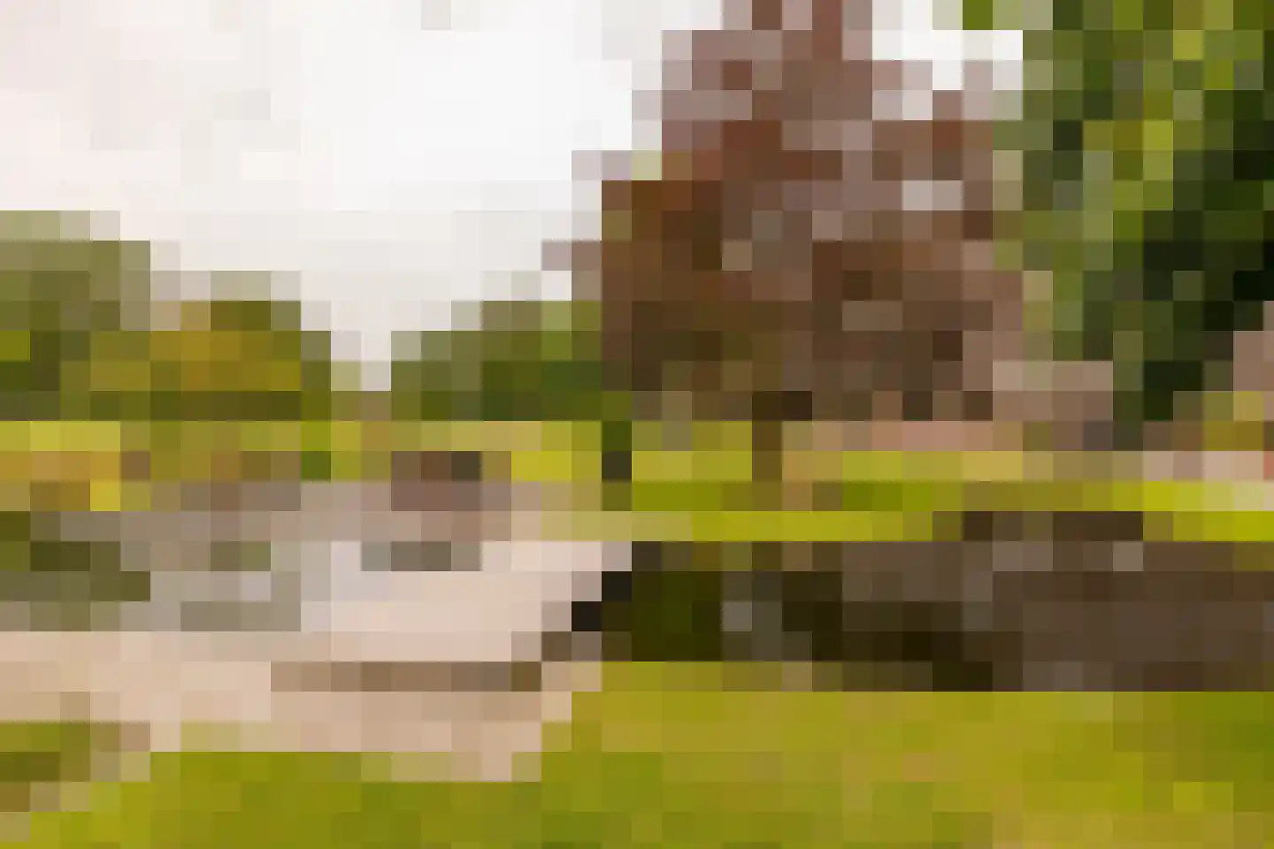 Ten Arlo 3 Zuidwolde thumbnail 71