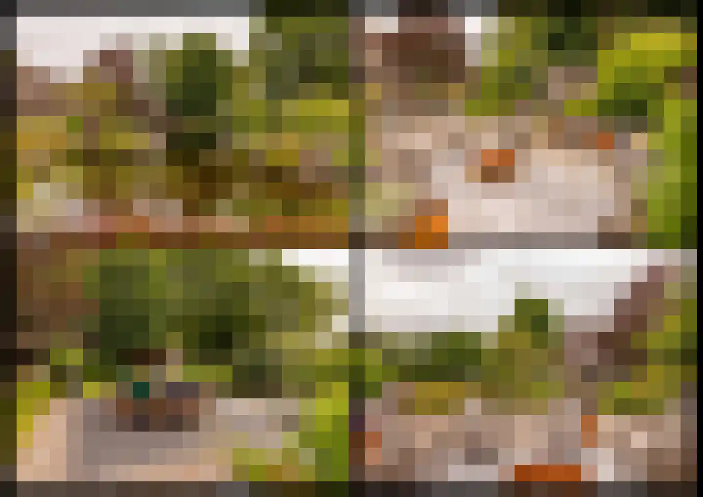 Ten Arlo 3 Zuidwolde thumbnail 72