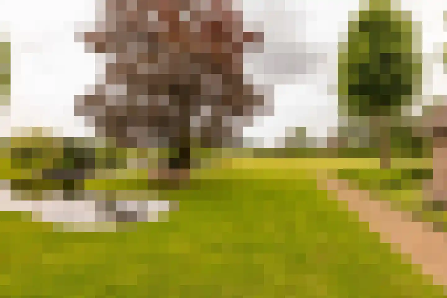 Ten Arlo 3 Zuidwolde thumbnail 73