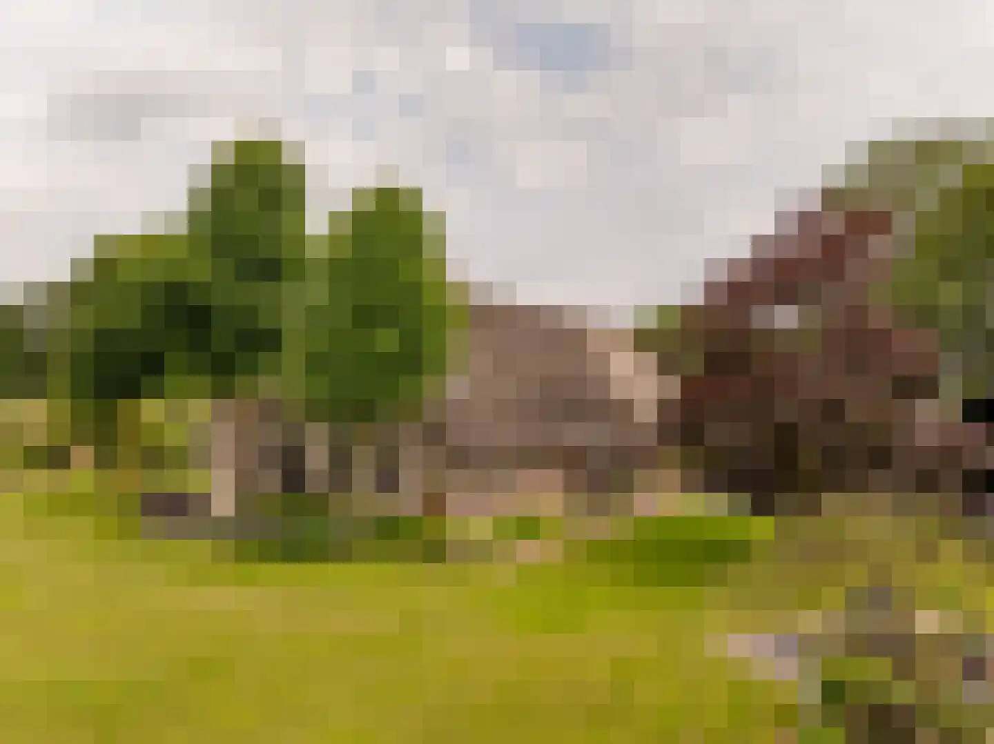 Ten Arlo 3 Zuidwolde thumbnail 74
