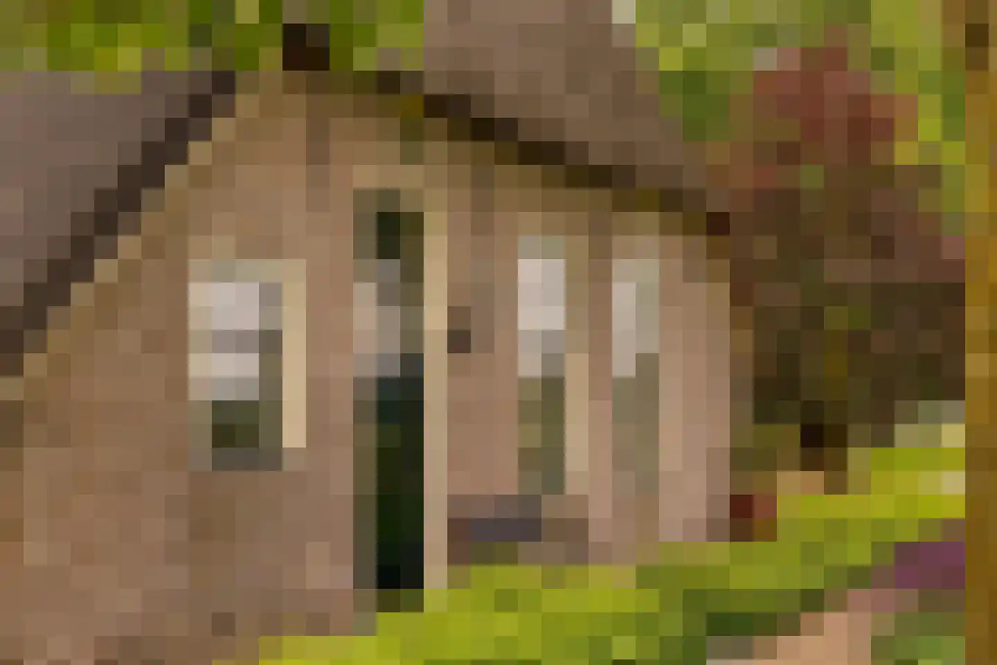 Ten Arlo 3 Zuidwolde thumbnail 75