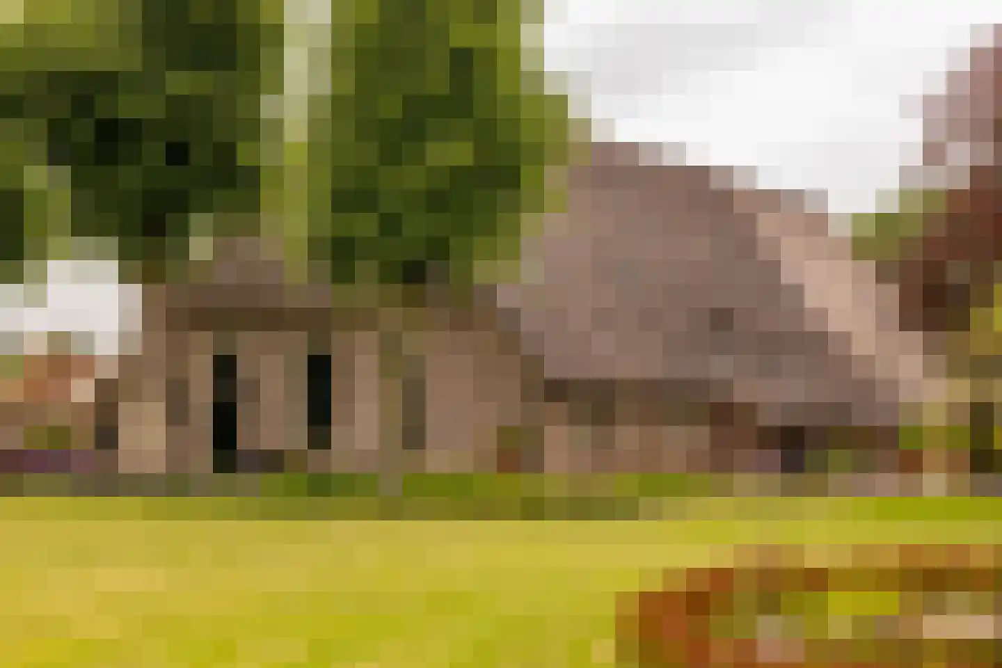 Ten Arlo 3 Zuidwolde thumbnail 76
