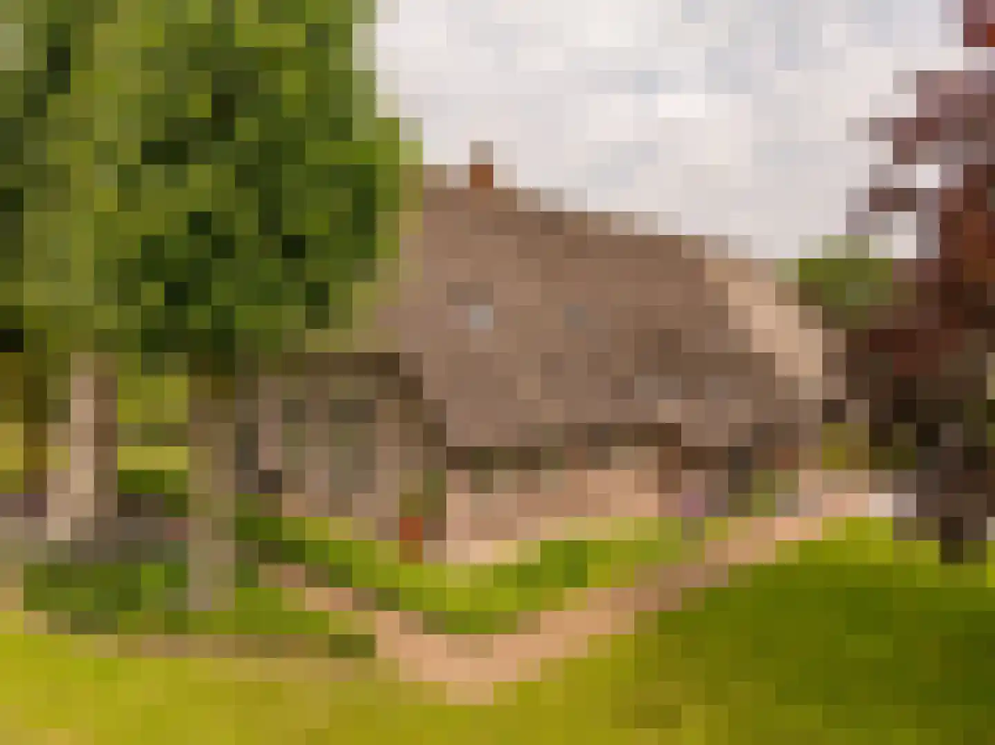 Ten Arlo 3 Zuidwolde thumbnail 77