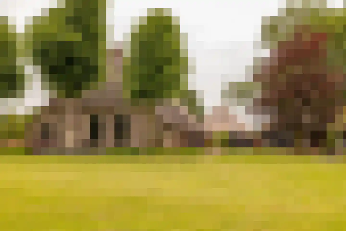 Ten Arlo 3 Zuidwolde thumbnail 79