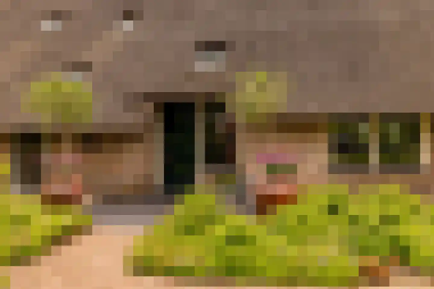 Ten Arlo 3 Zuidwolde thumbnail 8