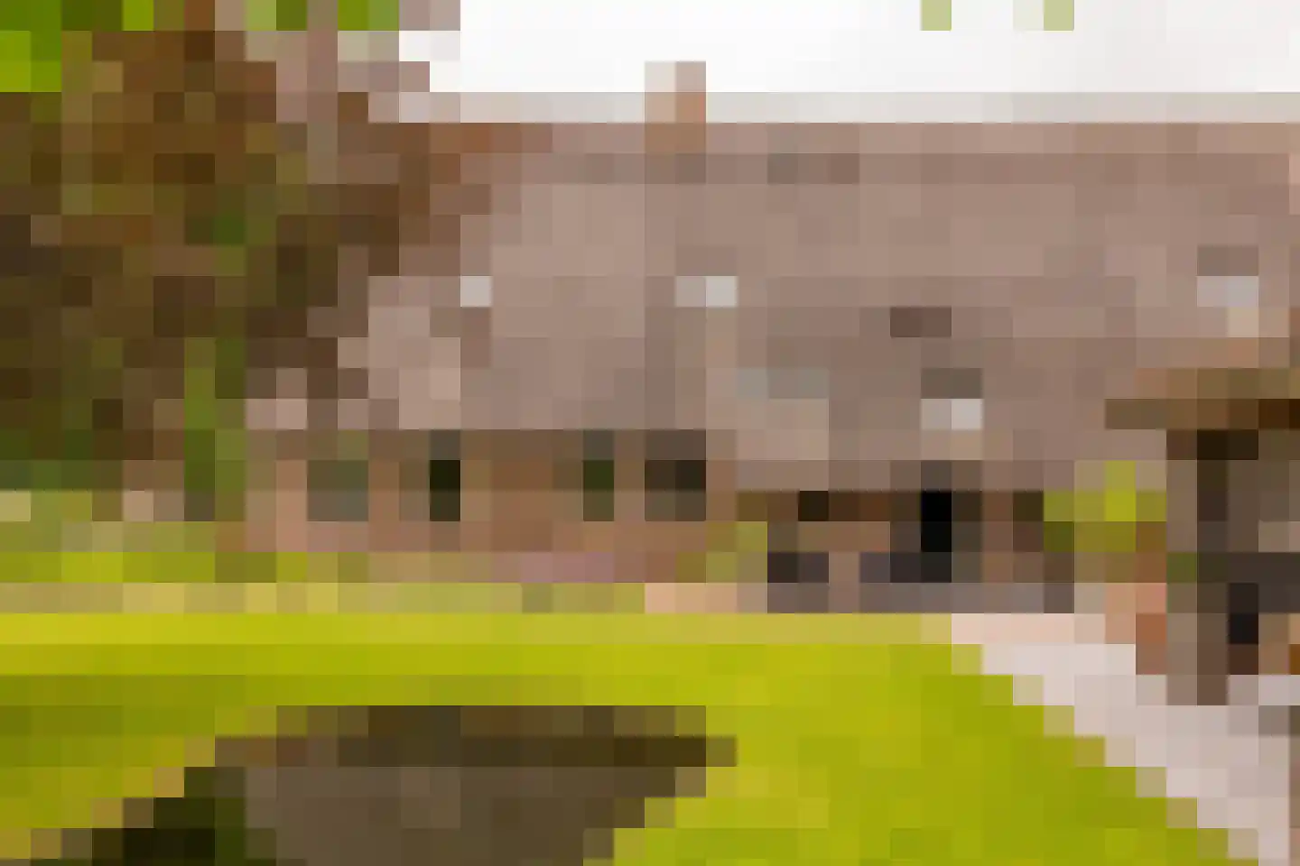 Ten Arlo 3 Zuidwolde thumbnail 80