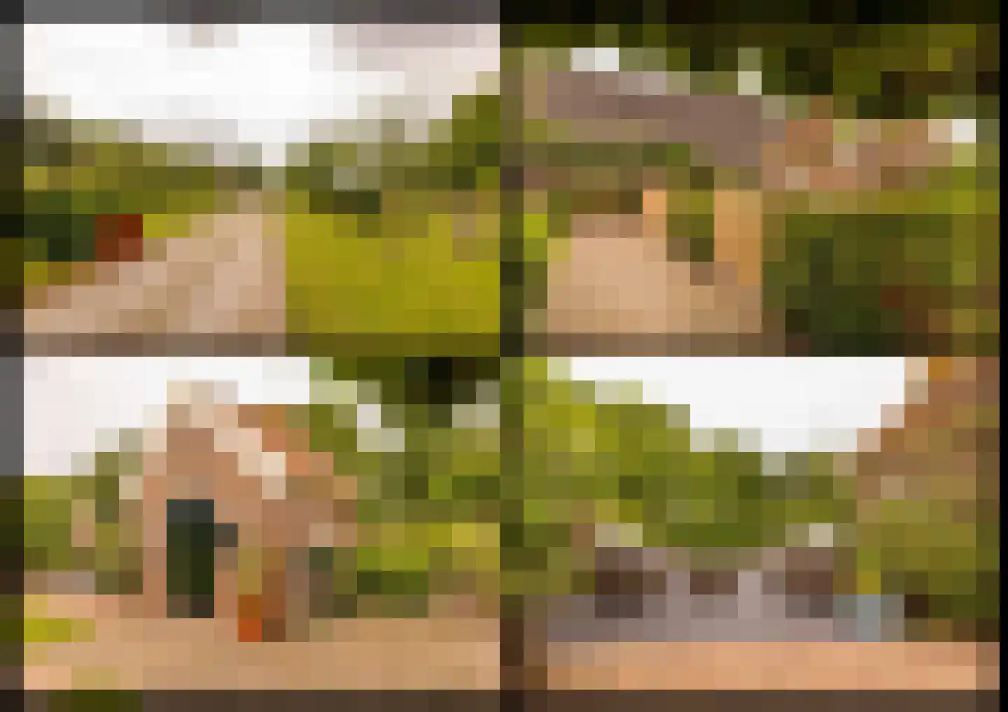 Ten Arlo 3 Zuidwolde thumbnail 81