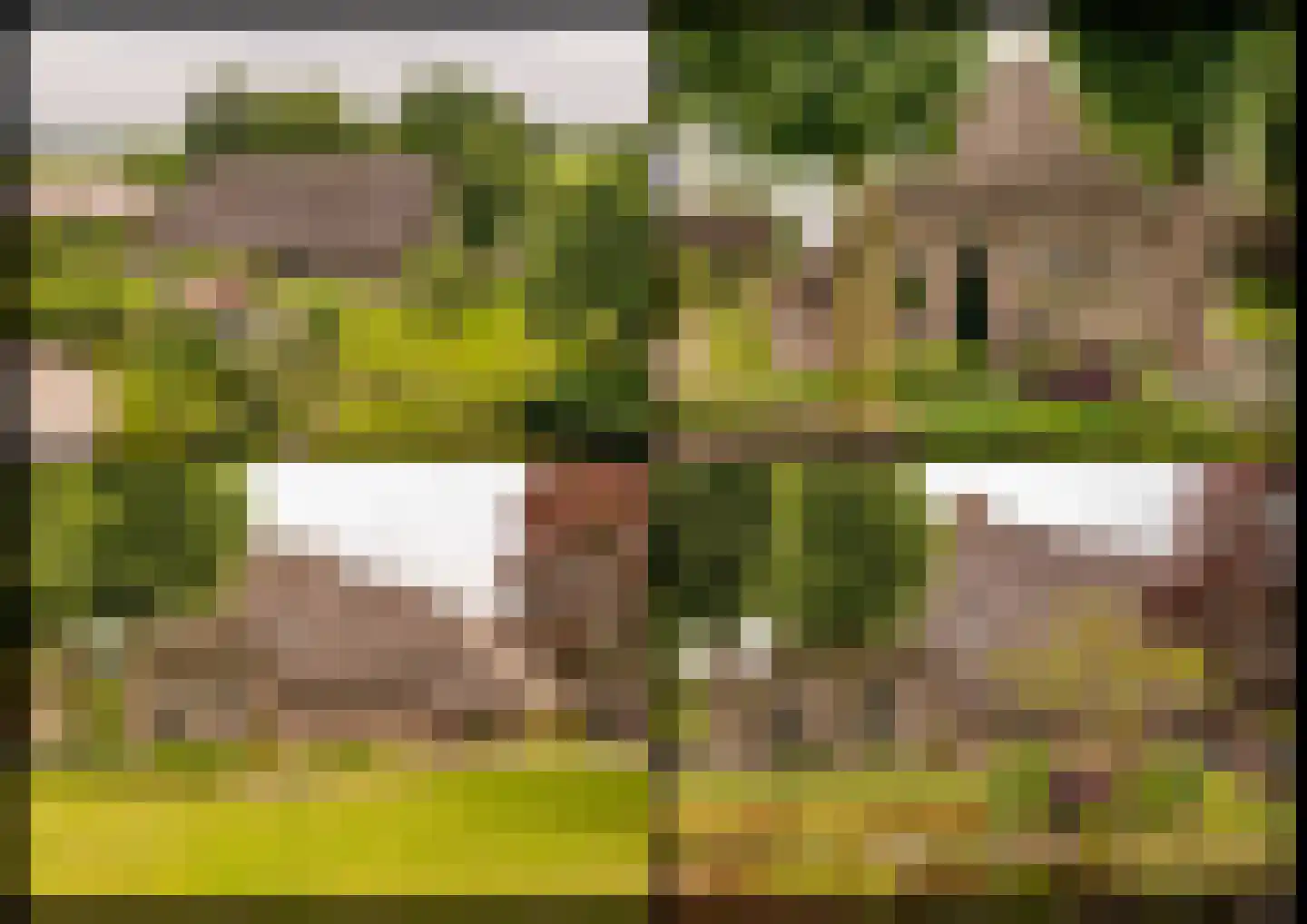 Ten Arlo 3 Zuidwolde thumbnail 82