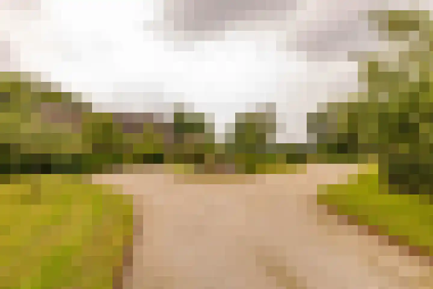 Ten Arlo 3 Zuidwolde thumbnail 83