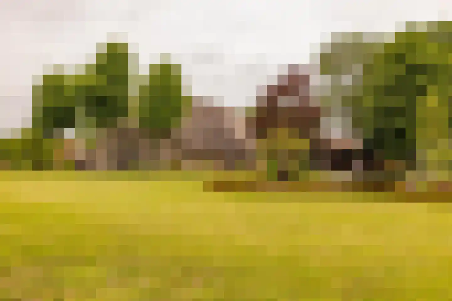 Ten Arlo 3 Zuidwolde thumbnail 84