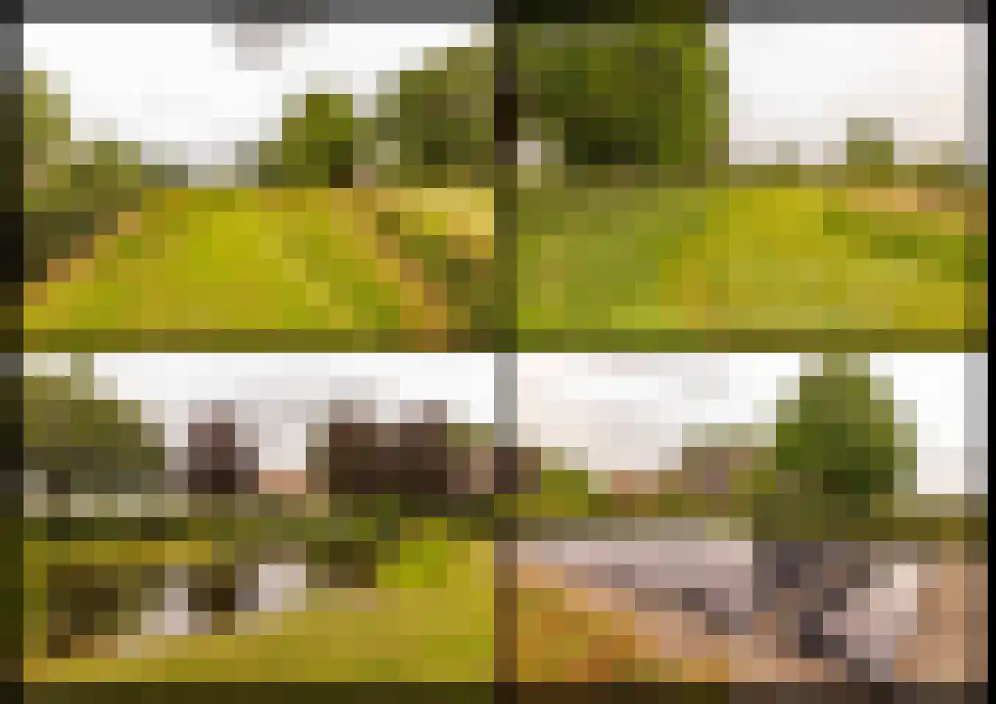 Ten Arlo 3 Zuidwolde thumbnail 85