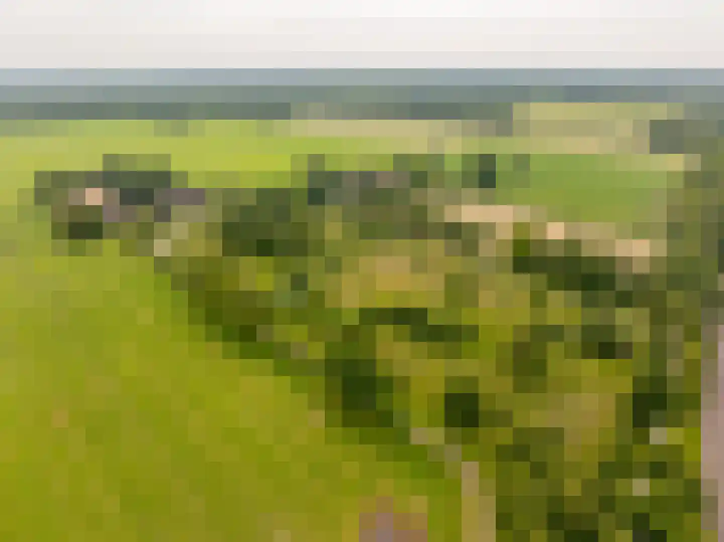 Ten Arlo 3 Zuidwolde thumbnail 86