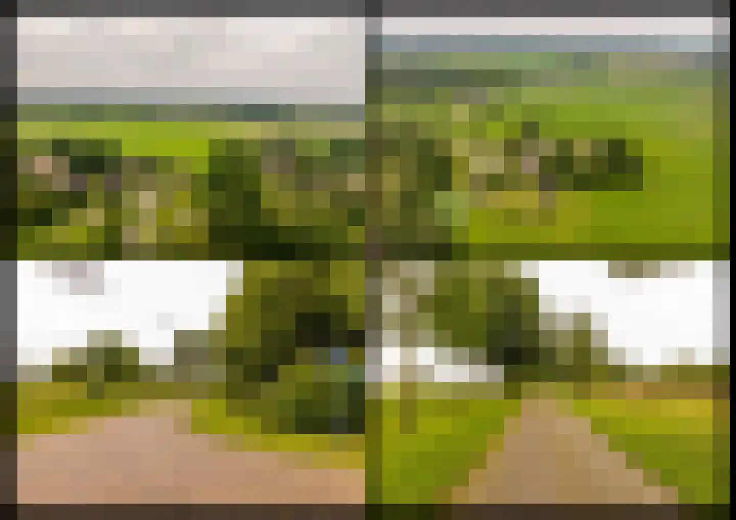 Ten Arlo 3 Zuidwolde thumbnail 87