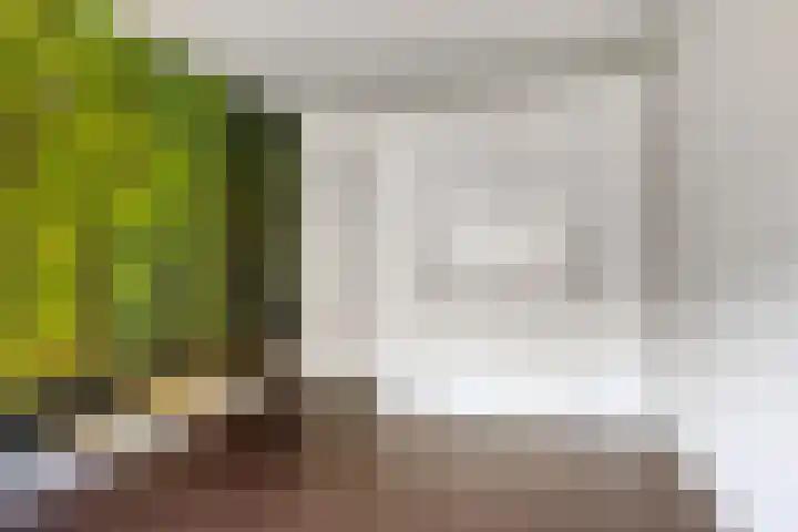 Ten Bijgaerde 29 Oisterwijk thumbnail 26