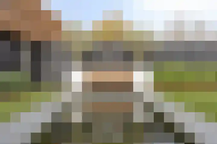 Ten Bijgaerde 29 Oisterwijk thumbnail 29
