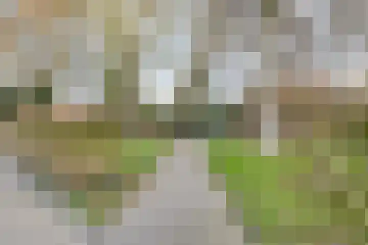 Ten Bijgaerde 29 Oisterwijk thumbnail 36