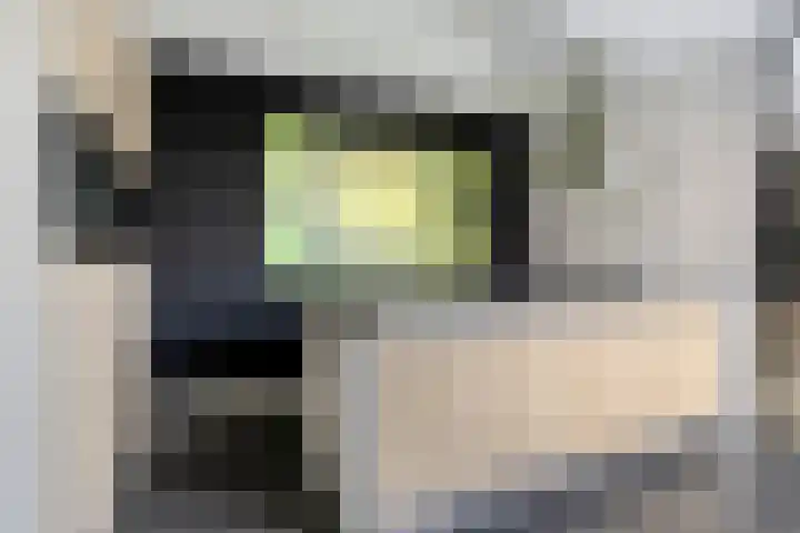 Ten Bijgaerde 29 Oisterwijk thumbnail 7