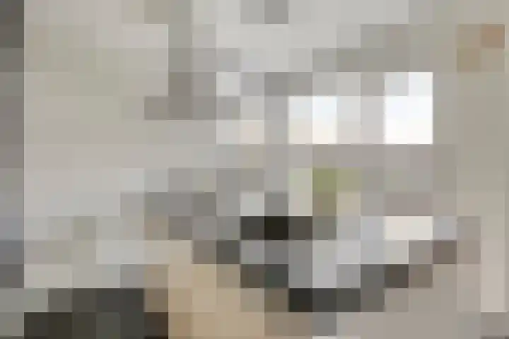 Ten Bijgaerde 29 Oisterwijk thumbnail 9