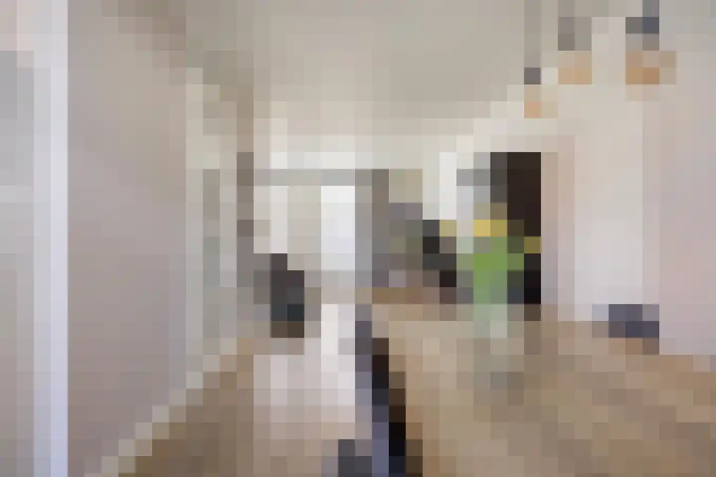 Ten Bleek 17 Beek en Donk thumbnail 29