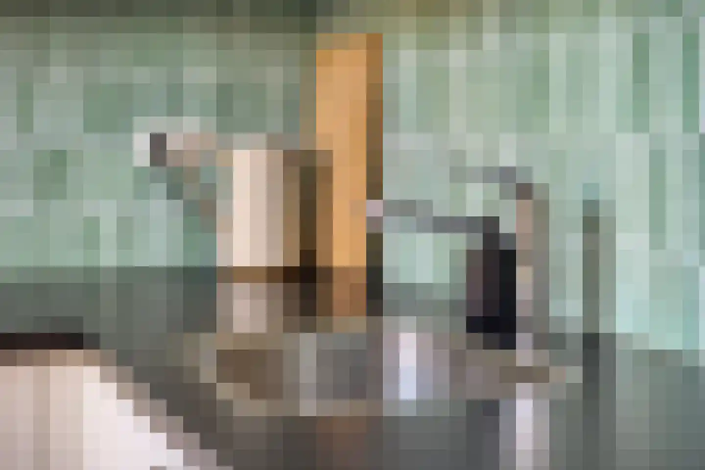 Ten Bleek 17 Beek en Donk thumbnail 36