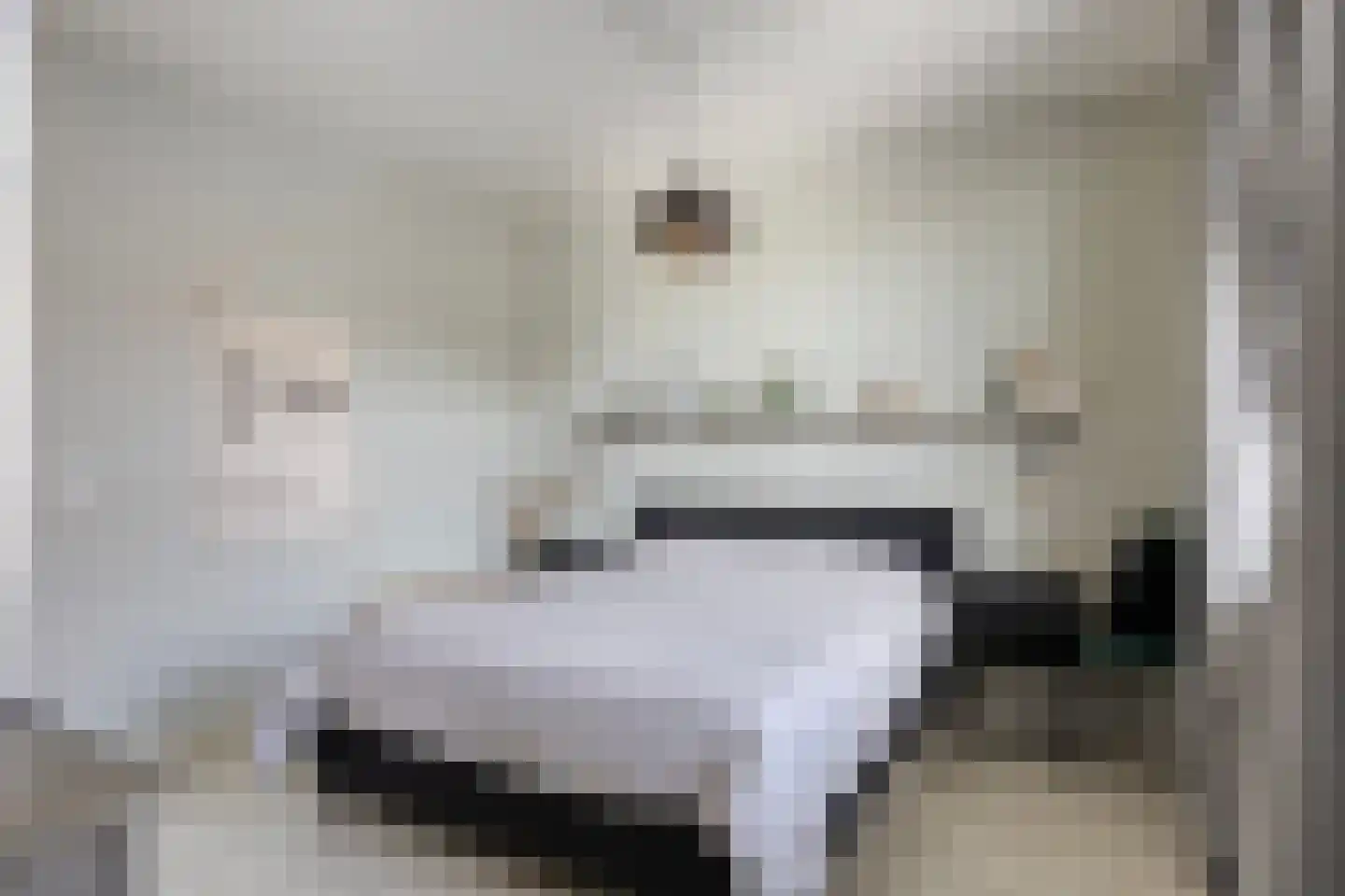 Ten Bleek 17 Beek en Donk thumbnail 41